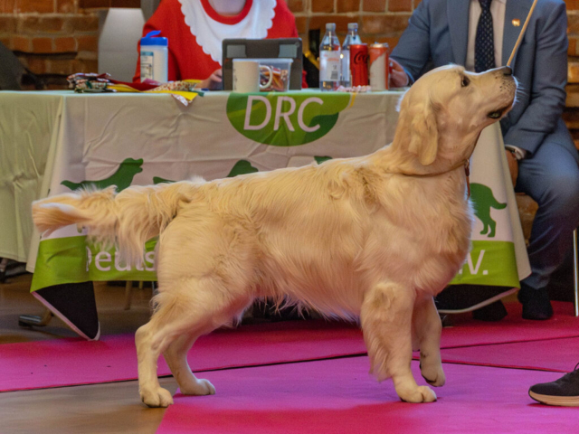 jannik-sra-soltau-12-25-v2